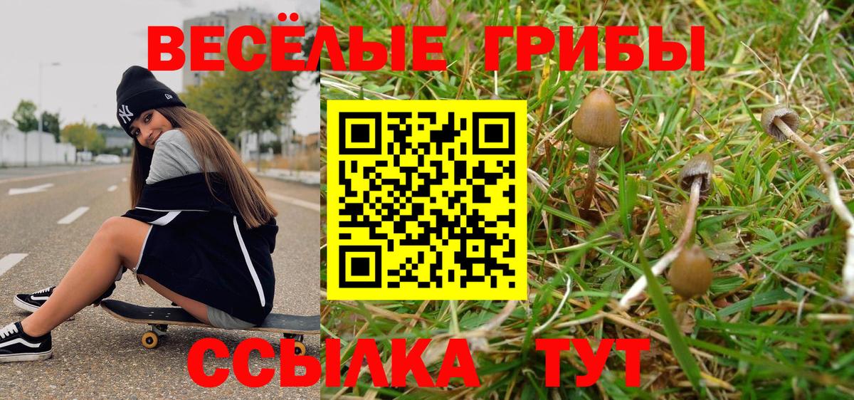 Псилоцибиновые грибы Psilocybe  Псилоцибиновые грибы GOLDEN TEACHER  Вход с VPN  Надым 