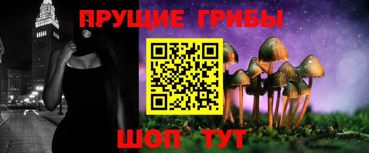 Галлюциногенные грибы Magic Shrooms Надым